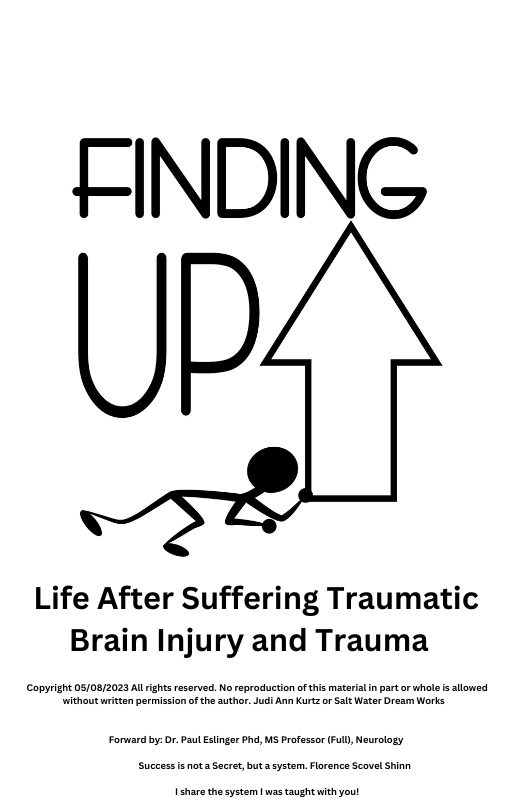 Finding UP!   The Story of Finding a System Above Brain Injury and Trauma