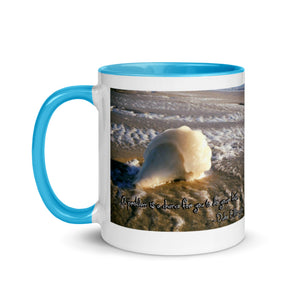 Frozen Conch Shell Mug with Color Inside