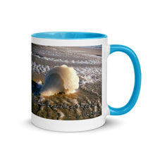 Load image into Gallery viewer, Frozen Conch Shell Mug with Color Inside
