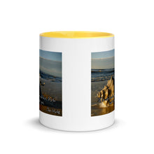 Load image into Gallery viewer, Shellabration
