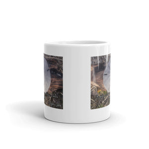 Sand Dollar Mug