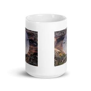 Sand Dollar Mug